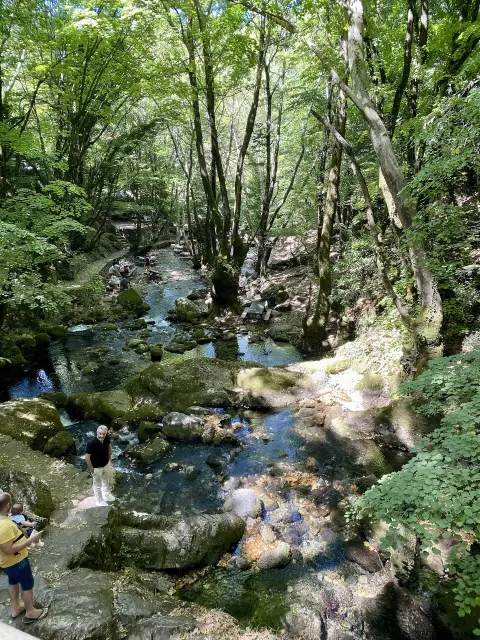 Kazdağları’ndan bir görünüm